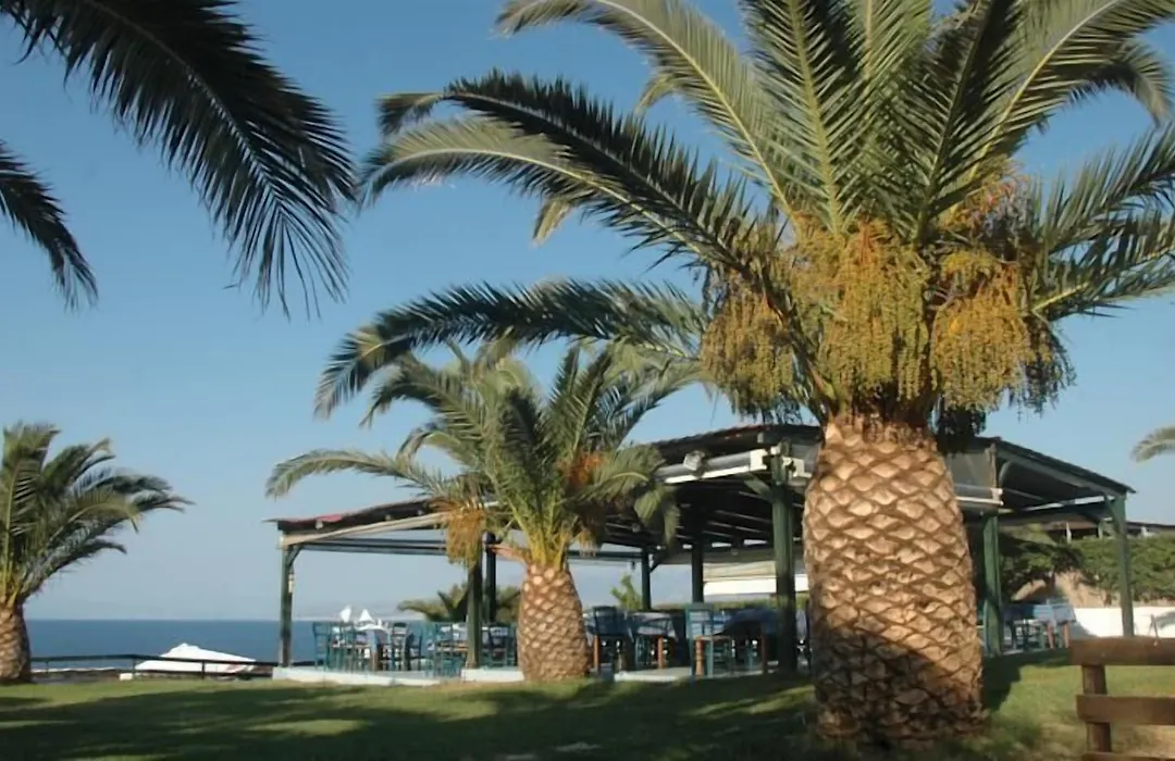 Κοράλι Beach-1