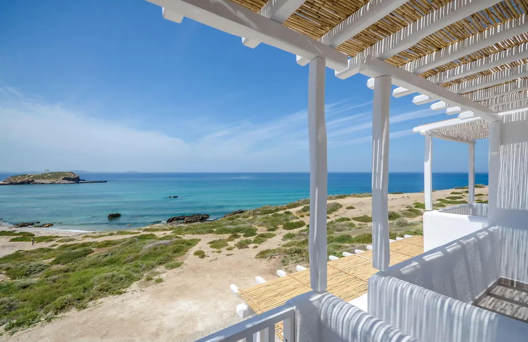 Cyano Suites-1