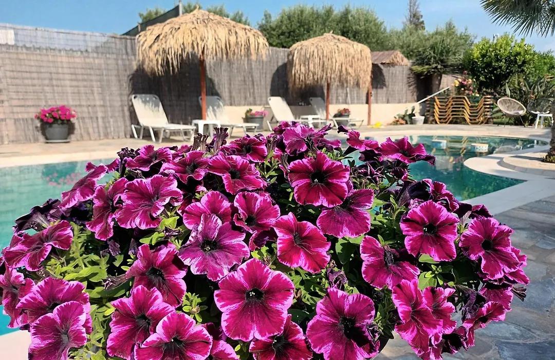 Secret Garden Hotel-1