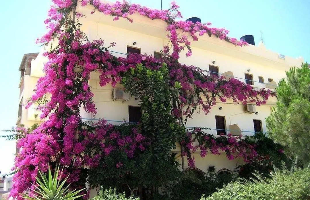 Knossos Hotel-1