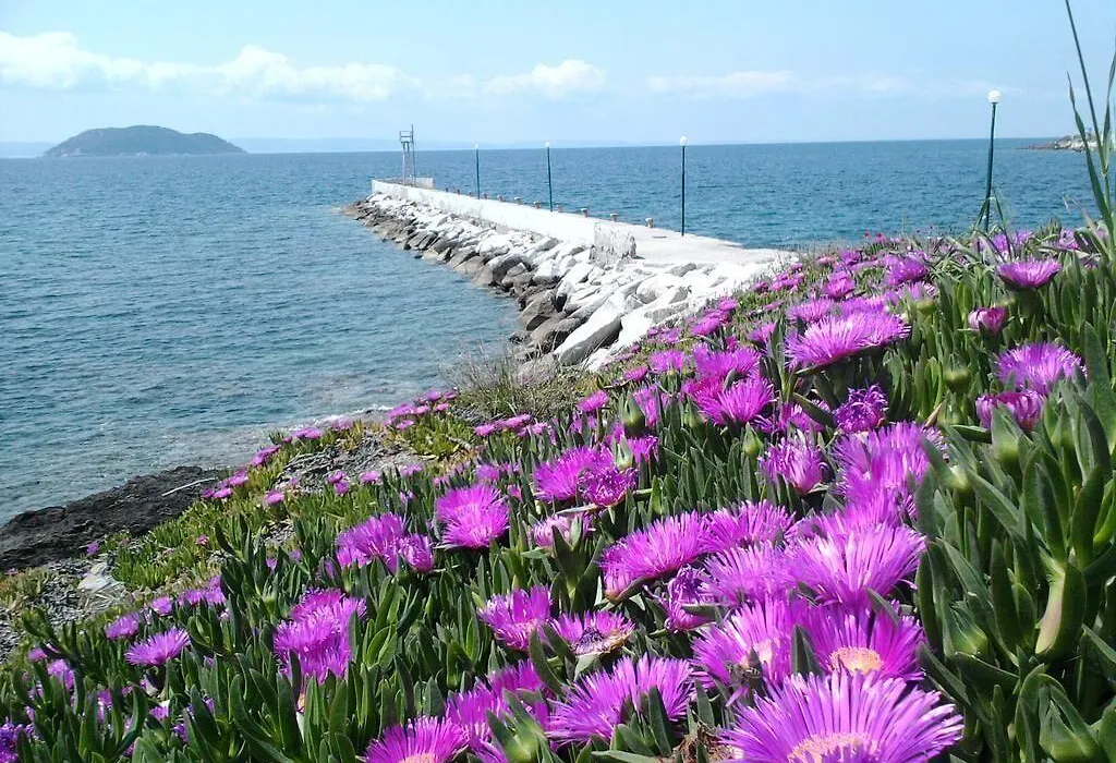 Welcome To Hotel Petunia, In Neos-Marmaras,Xalkidiki ,Greece Twin Room 2-1
