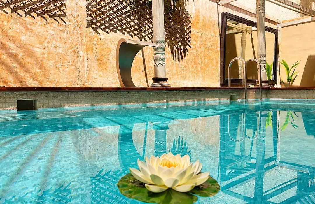 Great Greece Le Convivial Suites-1