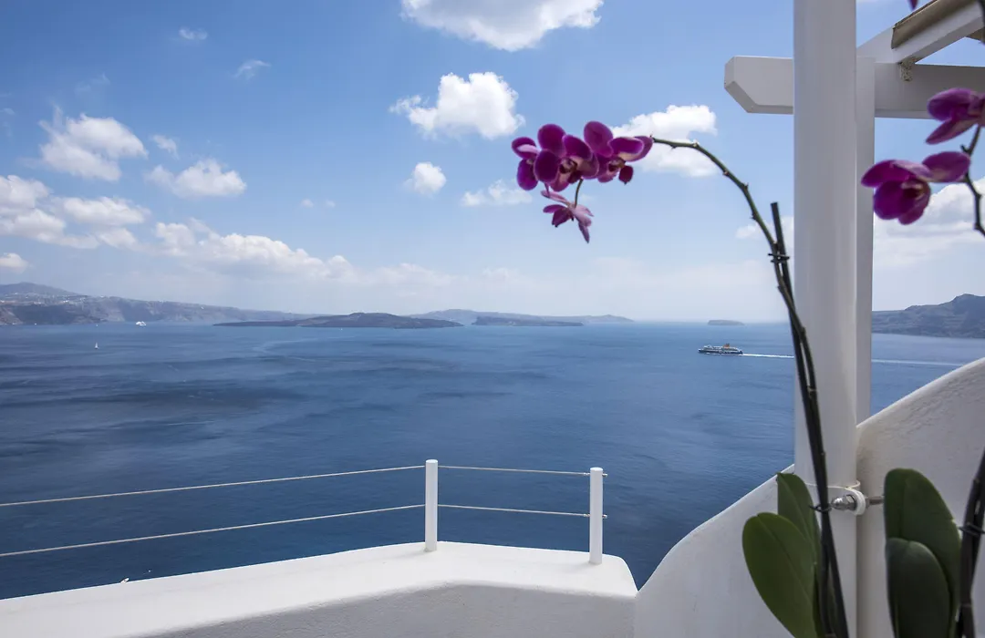 Ambition Suites (Adults Only)-1
