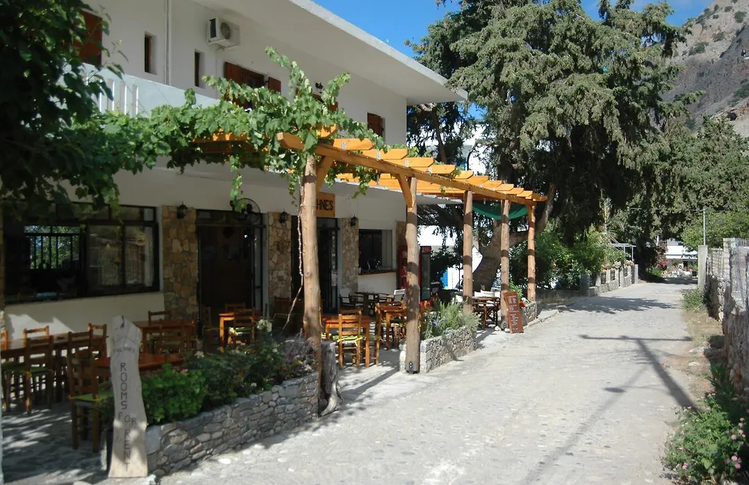 Pachnes Bed And Breakfast-1