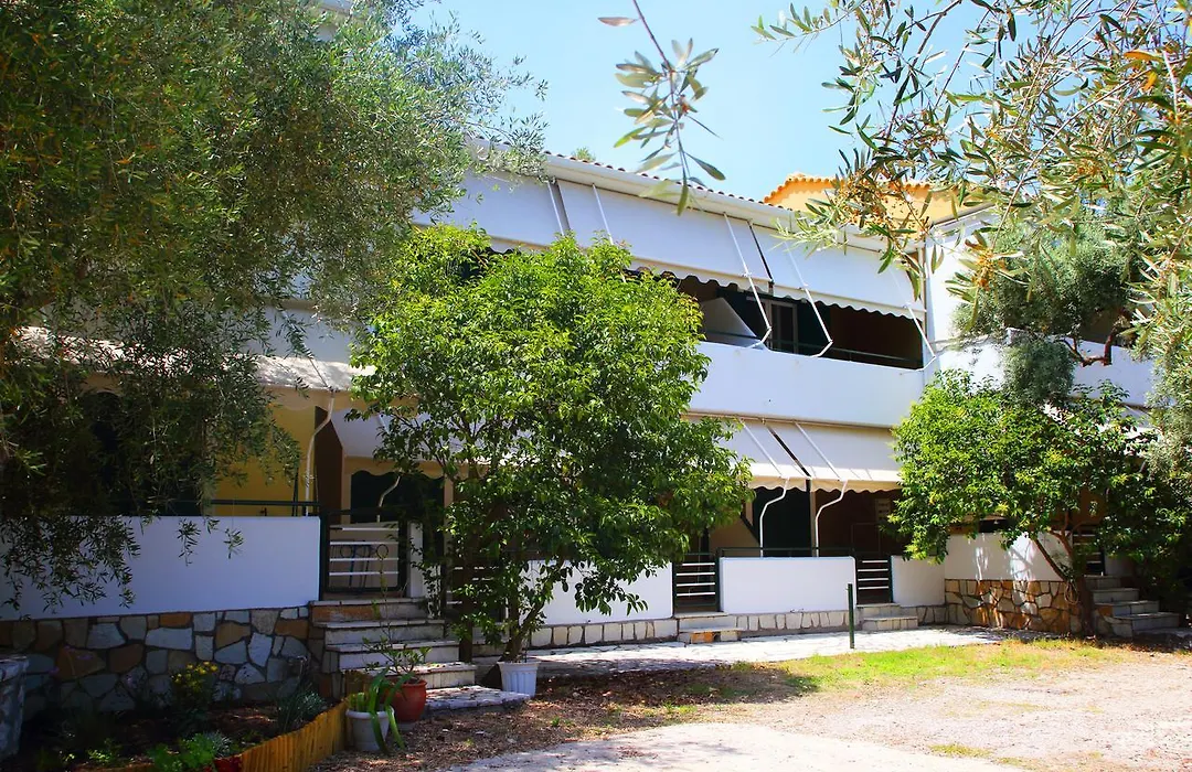 Nikolas Studios-1