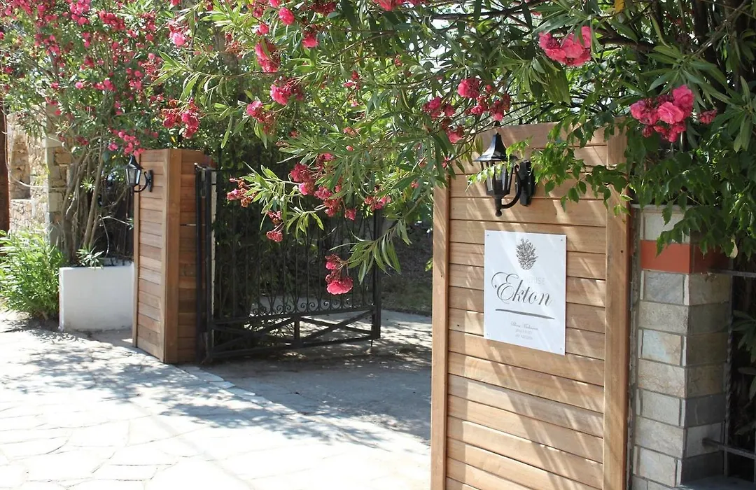 House Ekton-1