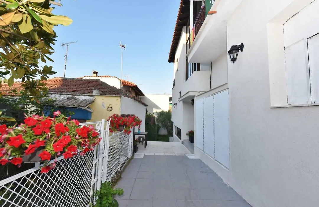 Villa Sithonia-1
