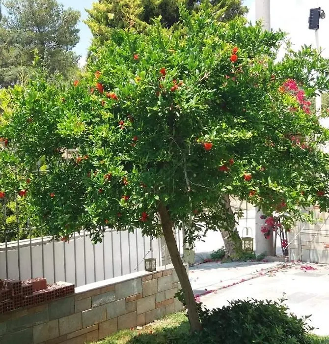 Fantastic Villa, A 5 Minute Drive From The Beach!-1