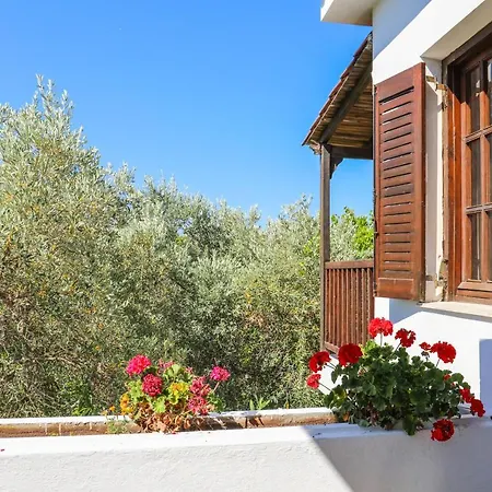 Pandora Studios Skiathos-3