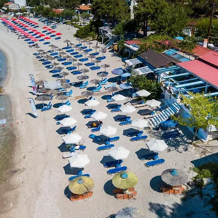Green Velvet Thassos-2