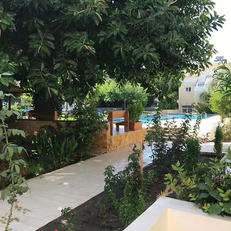 Marakis-2