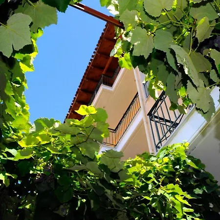 Boutique Hotel Parnassia-2
