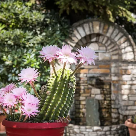 Elatos Country House-2