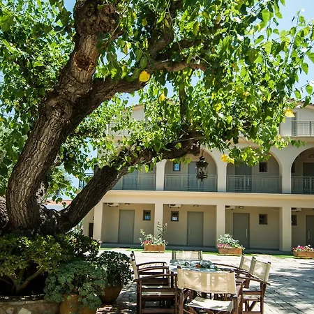 Paradise Vezal-3