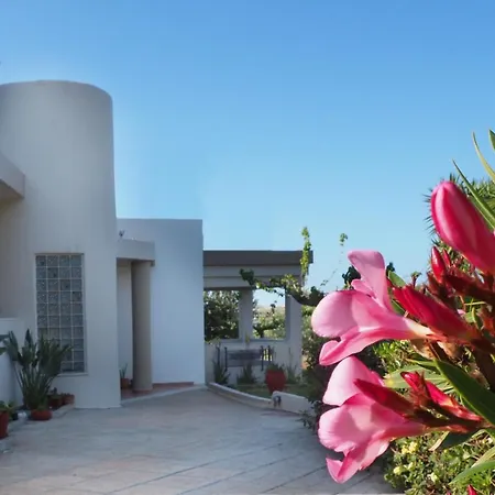 Olive House-2