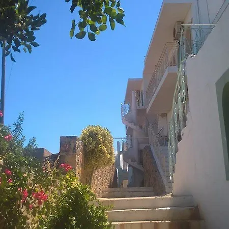 Creta Star-2