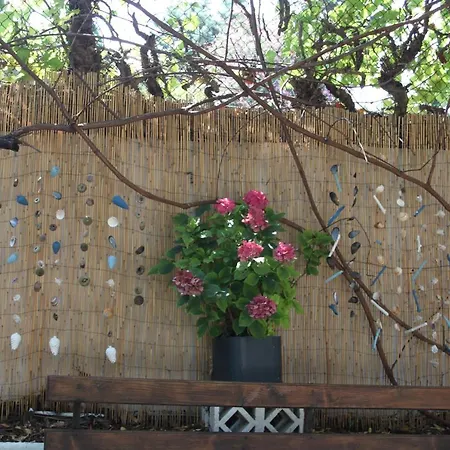 House Ekton-2