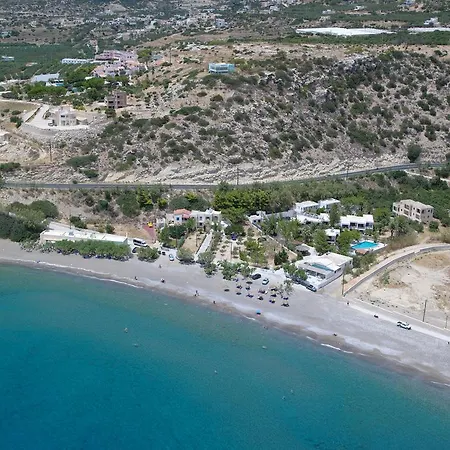 Avra Palm-2