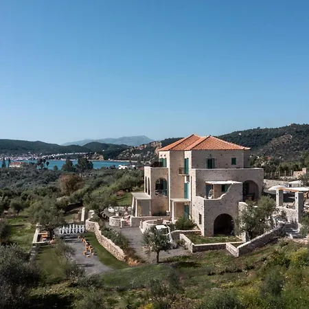 The Olive Yard-2
