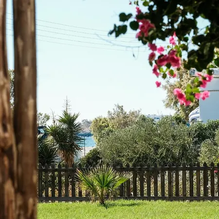 Golden Beach Studios & Suites-2