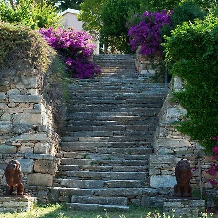 Montofoli Wine Estate-2