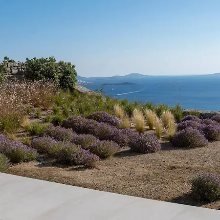 Zelia B&B & Villa-3