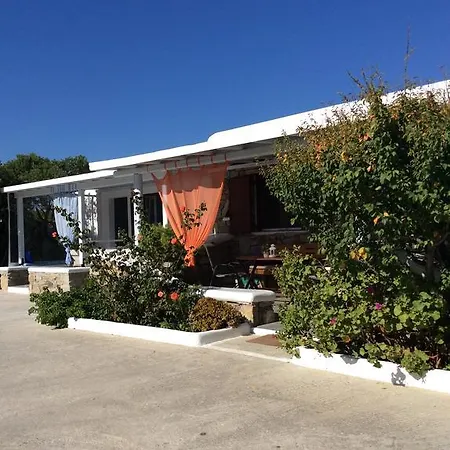 Liana Studios-2