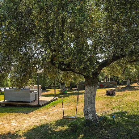 Saint George Sithonia-2