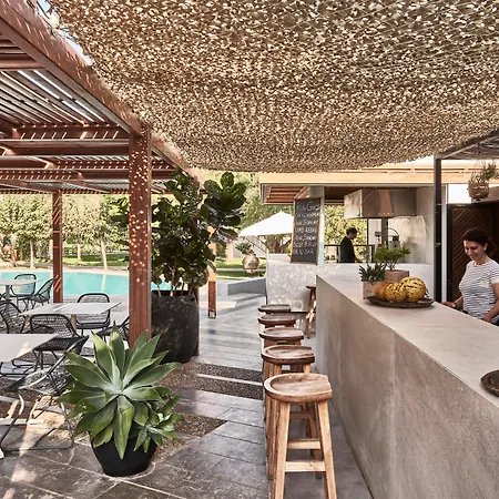 Phaea Cretan Malia, A Member Of Design Hotels-2