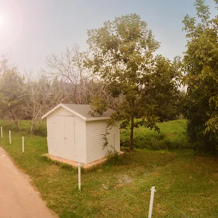 Olive Grove Resort-2