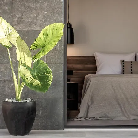 Aku Suites With Private Pools-3