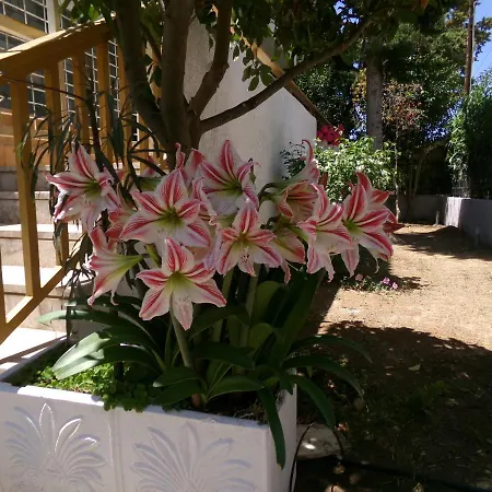 Kavouri Beach House Just 6 Minutes Walk To Kavouri Beach-3