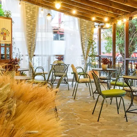 Hotel Theopisti-2