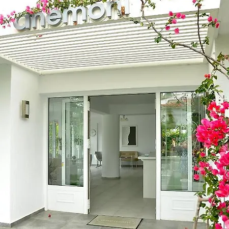 Anemoni Beach Hotel-2