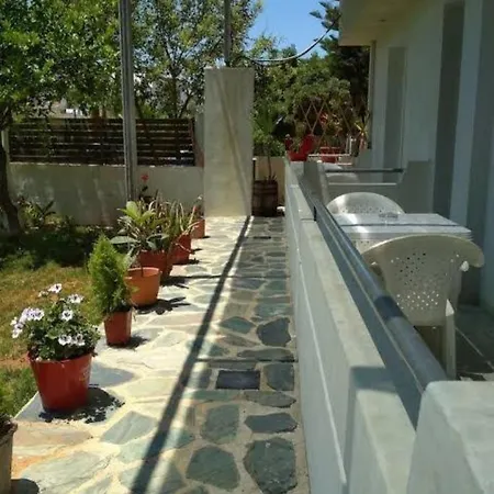 D. Beloni Studios-2