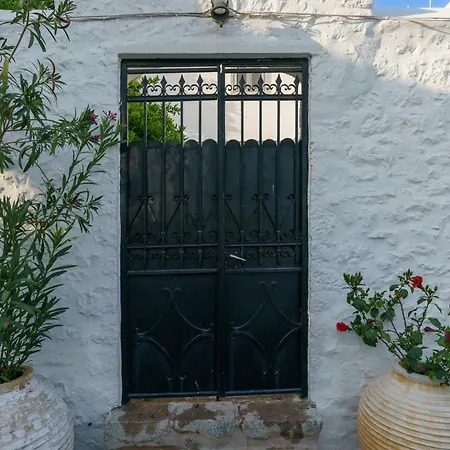 Livin Hydra Garden Suite-2