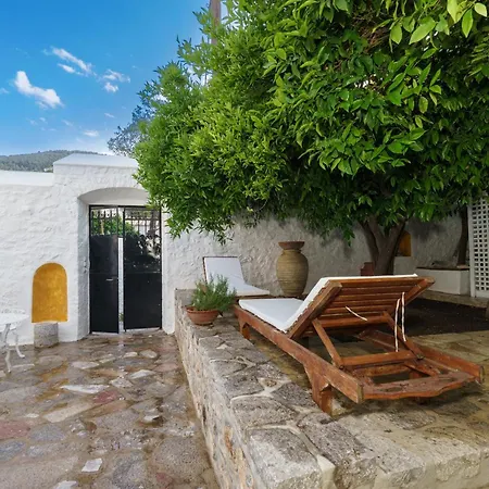 Livin Hydra Garden Suite-3