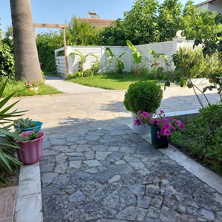 Amelia'S Garden-2