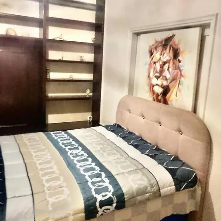 Economy Shared Apartment E In Central Athens-2