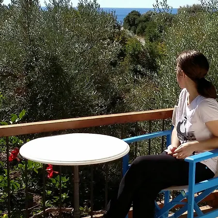 Olive Tree Cottages-3
