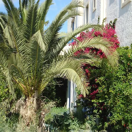Creta Sun Hotel Studios-2