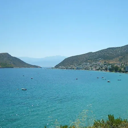 Barbaressa-2