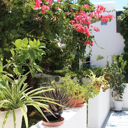 Loukia Apartments & Studios-2