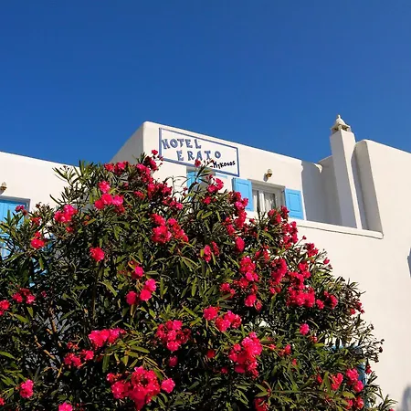 Erato Hotel Mykonos-2
