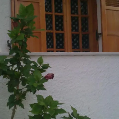 Pantazis Studios-2