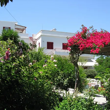 Anna Studios-3
