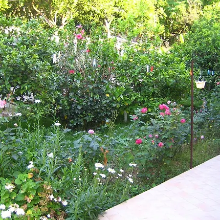 Pension Holidays-3