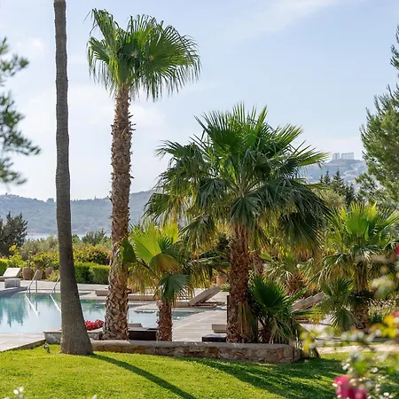 Cape Sounio, A Resort To Live-3