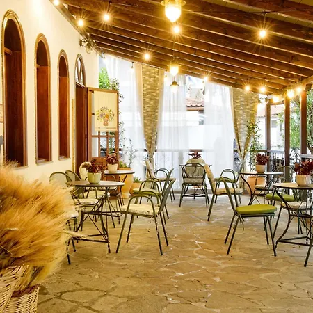 Hotel Theopisti-3