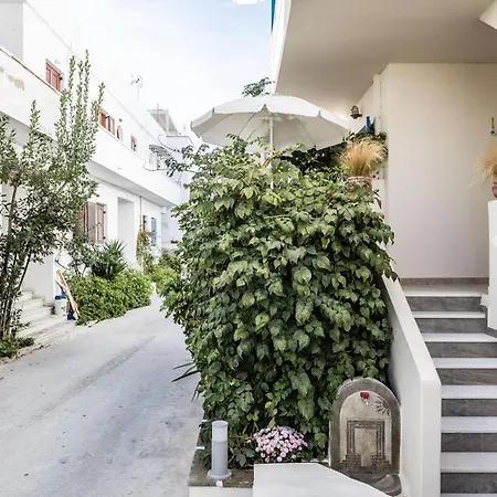 Lefkes Studios-3